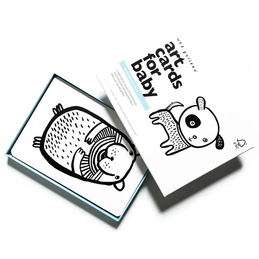 Flash Cards | Pets Art Cards