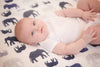 Blanket | Elephant and Wave