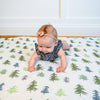 Blanket | Pines