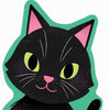 Little Cat