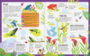 EDC Publishing - Sticker Facts: Jungle