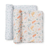 Swaddle Set | Roarsome