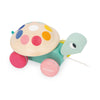 Pull-Along Turtle