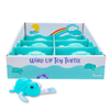 Wind Up Turtle