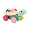 Pull-Along Turtle