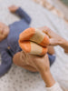 Socks | Baby Socks Trio Roarsome