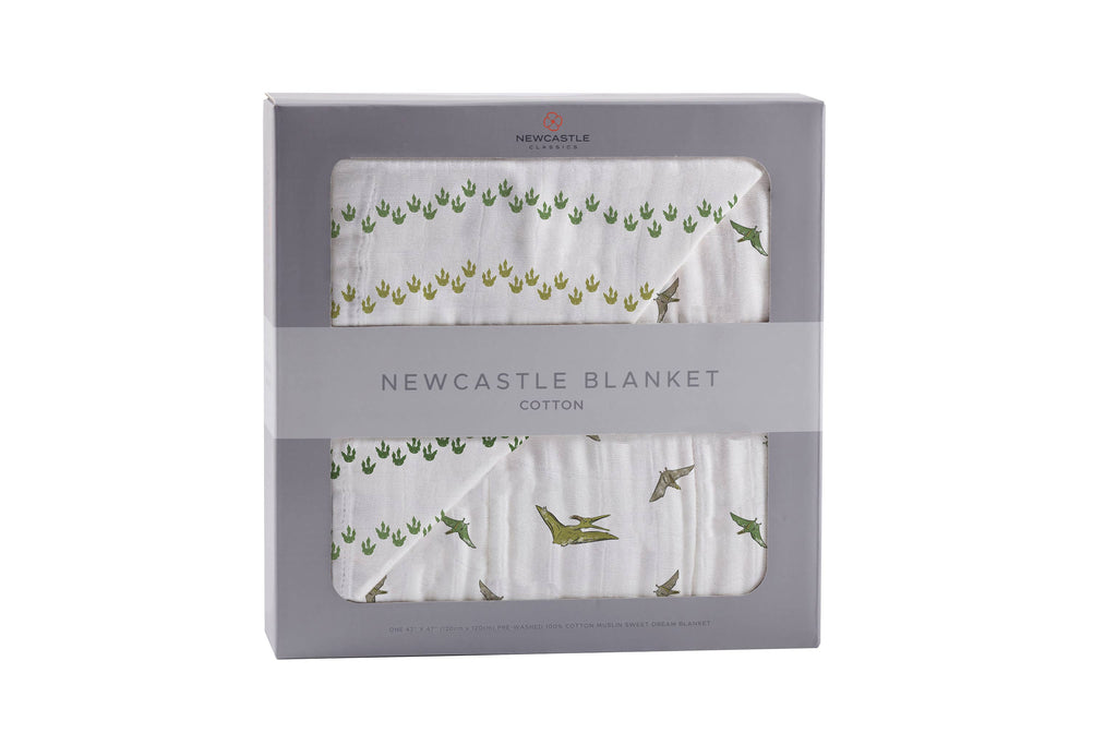 Blanket | Dino Feet and Pteranodon