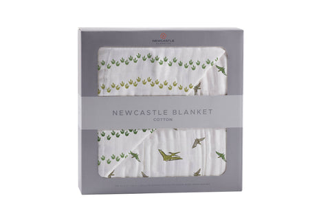 Blanket | Dino Feet and Pteranodon