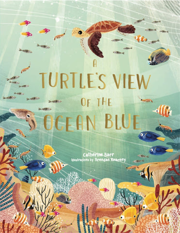 A Turtles View Of The Ocean Blue Book
